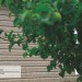 Сайдинг Ю-Пласт TIMBERBLOCK Пихта (Тимберблок) Cахалинская купить в Новороссийске